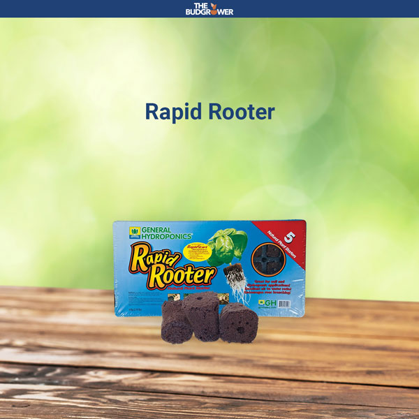 Rapid Rooter