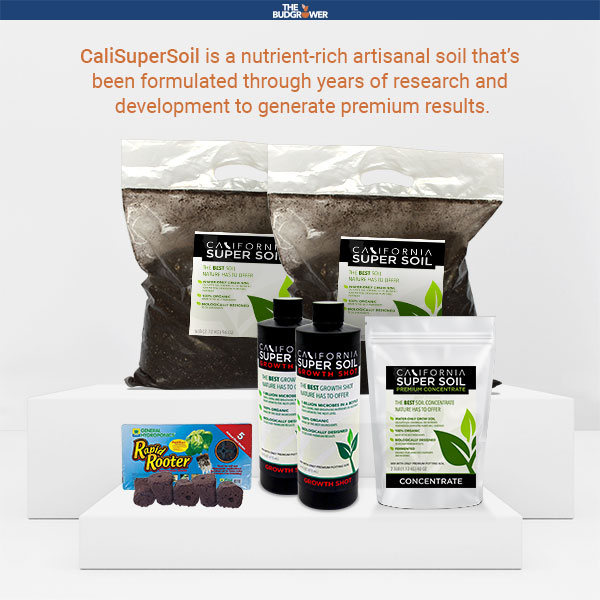 California Super Soil and Rapid Rooter